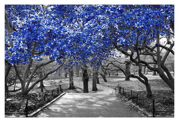 Slika - Modra drevesa, Central Park, New York (90x60 cm)