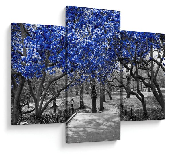 Slika - Modra drevesa, Central Park, New York (90x60 cm)
