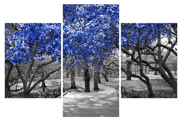 Slika - Modra drevesa, Central Park, New York (90x60 cm)