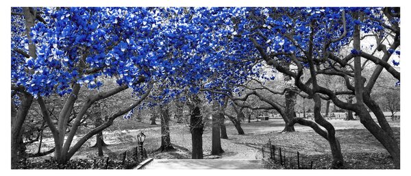 Slika - Modra drevesa, Central Park, New York (120x50 cm)