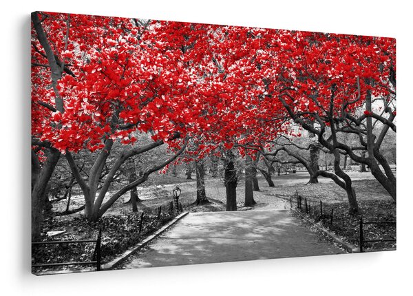 Slika - Rdeča drevesa, Central Park, New York (90x60 cm)