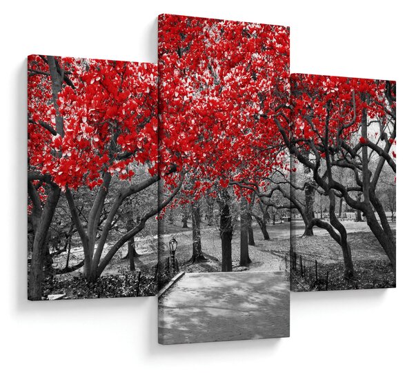 Slika - Rdeča drevesa, Central Park, New York (90x60 cm)