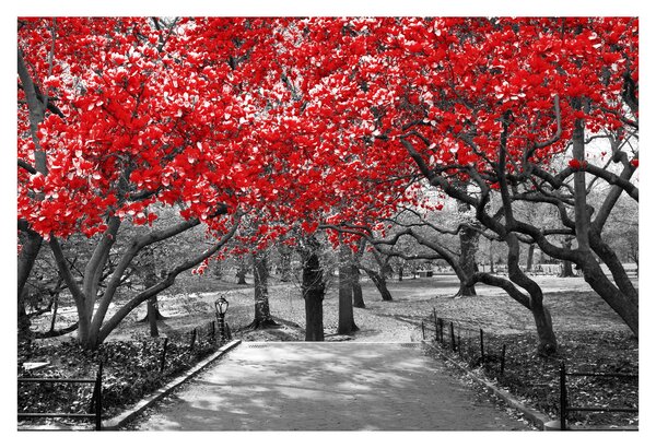 Slika - Rdeča drevesa, Central Park, New York (90x60 cm)