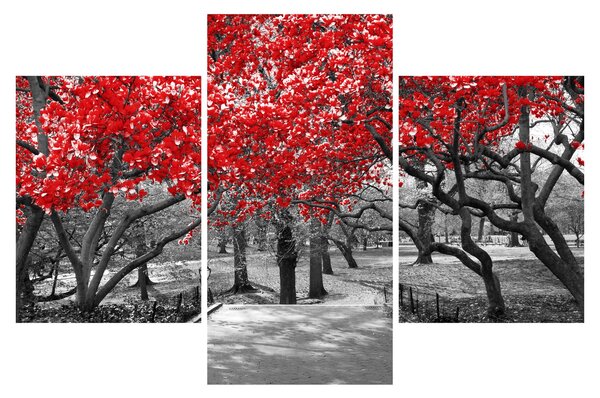 Slika - Rdeča drevesa, Central Park, New York (90x60 cm)