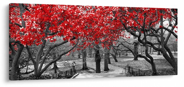 Slika - Rdeča drevesa, Central Park, New York (120x50 cm)