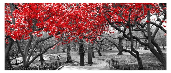 Slika - Rdeča drevesa, Central Park, New York (120x50 cm)