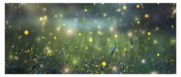 Slika - Čarobna noč (120x50 cm)