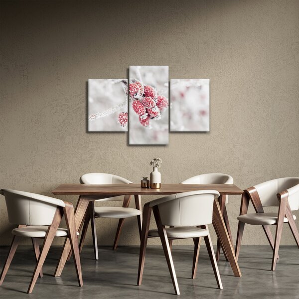 Slika - Zamrznjeno sadje (90x60 cm)