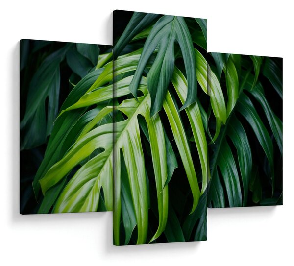 Slika - Tropski listi (90x60 cm)