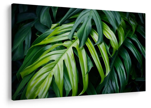 Slika - Tropski listi (90x60 cm)