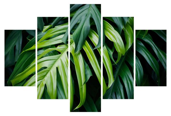 Slika - Tropski listi (150x105 cm)