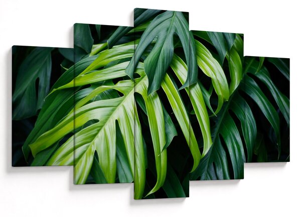 Slika - Tropski listi (150x105 cm)