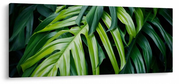 Slika - Tropski listi (120x50 cm)