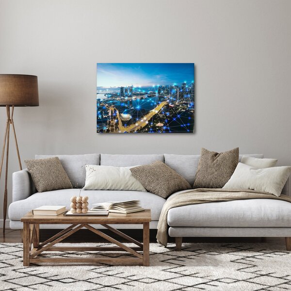Slika - Mestno omrežje (70x50 cm)