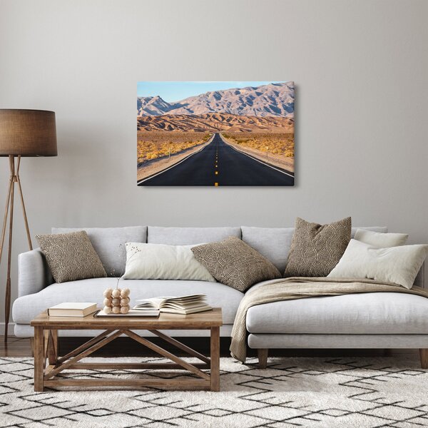 Slika - Dolina smrti, Kalifornija, ZDA (90x60 cm)