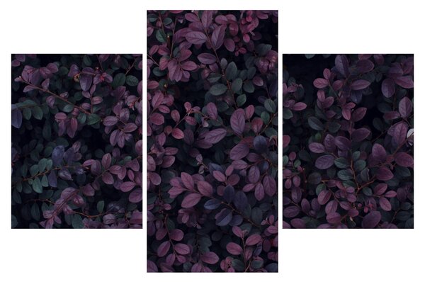 Slika temno rdečih listov (90x60 cm)