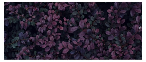 Slika temno rdečih listov (120x50 cm)