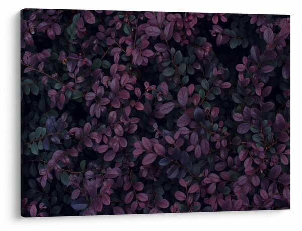Slika temno rdečih listov (70x50 cm)