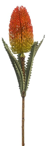 Banksija grana 72cm narančasta - naranča - 71 - 90 cm