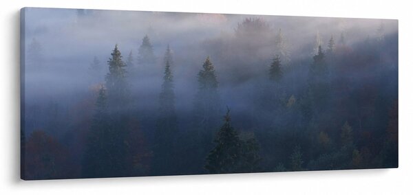 Slika - Gozd v megli, Karpati, Ukrajina (120x50 cm)
