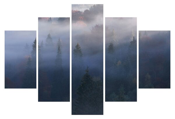 Slika - Gozd v megli, Karpati, Ukrajina (150x105 cm)