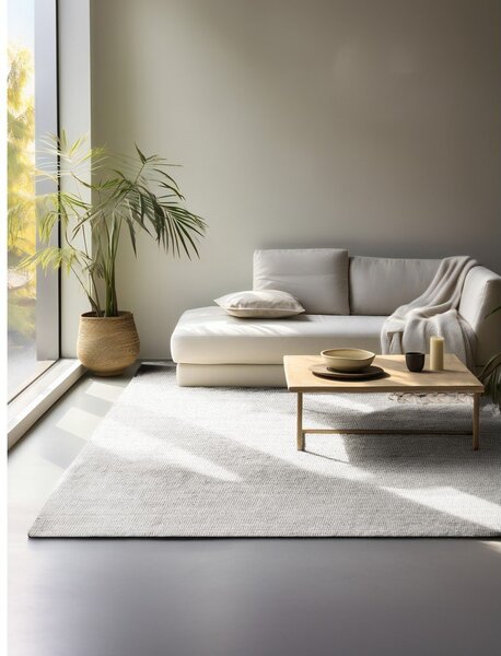 Svijetlo sivi obostrani/ručno rađen juten tepih 160x230 cm Bouclé Jaipur – Hanse Home