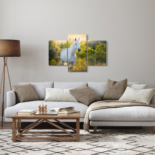 Slika belega konja na travniku (90x60 cm)