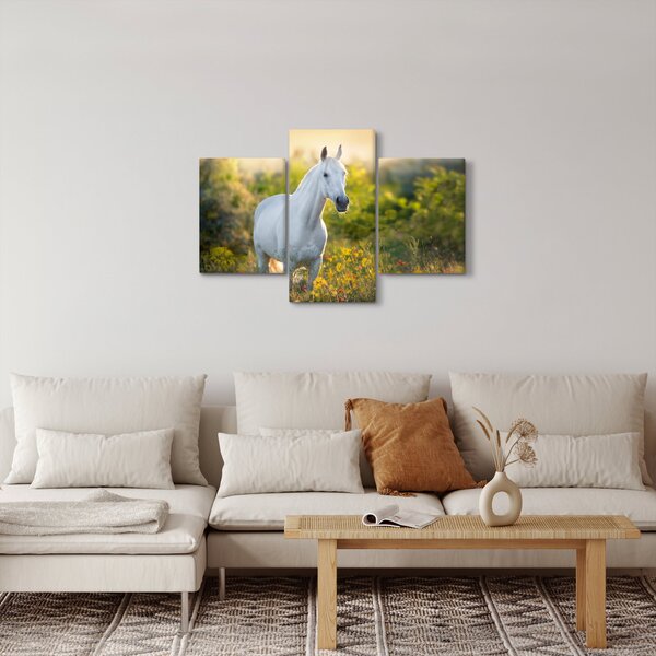 Slika belega konja na travniku (90x60 cm)