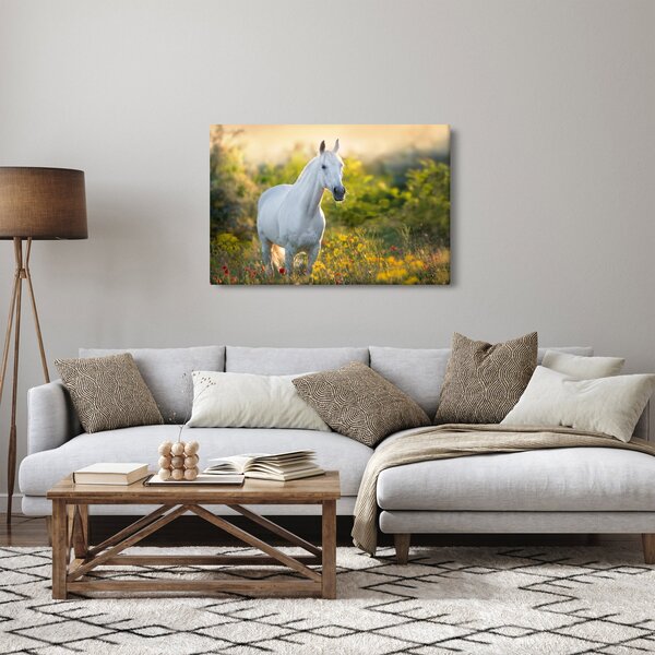 Slika belega konja na travniku (90x60 cm)
