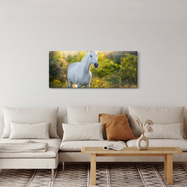 Slika belega konja na travniku (120x50 cm)