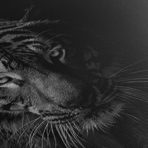 Slika divjega tigra (90x60 cm)