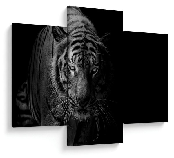 Slika divjega tigra (90x60 cm)