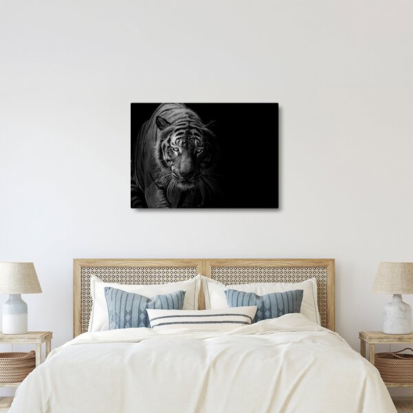 Slika divjega tigra (70x50 cm)