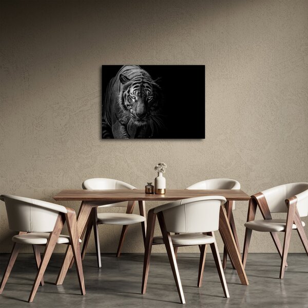 Slika divjega tigra (70x50 cm)