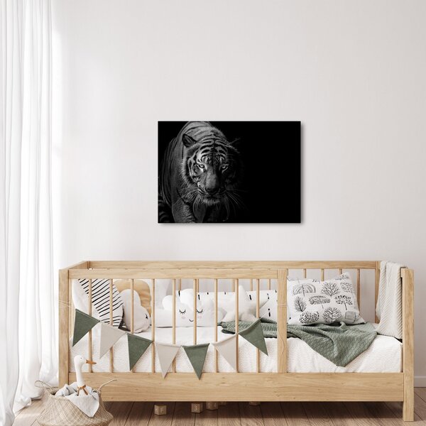 Slika divjega tigra (70x50 cm)