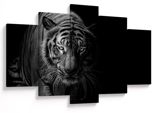 Slika divjega tigra (150x105 cm)