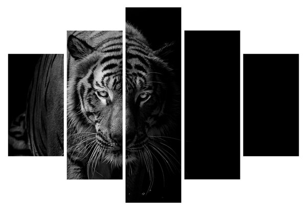 Slika divjega tigra (150x105 cm)