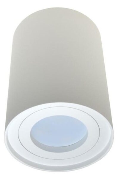 Reflektorska svjetiljka CRIKO 1xGU10/30W/230V bijela