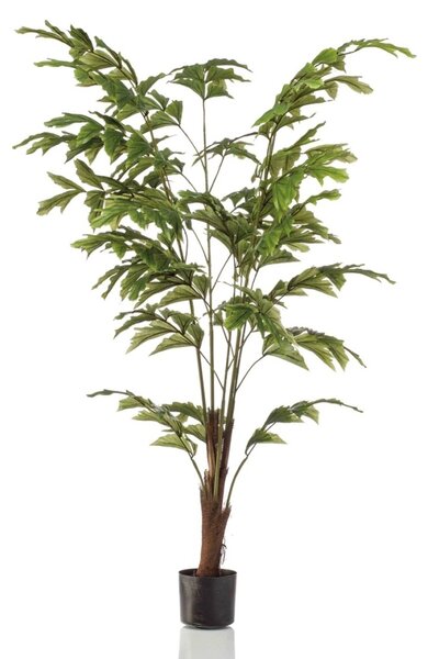 Umjetna palma Fishtail 155cm