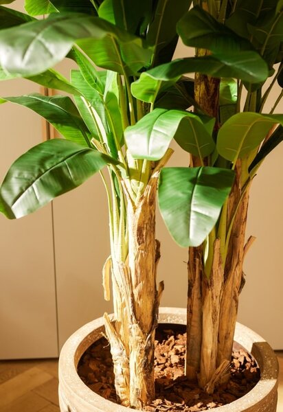Umjetna banana 200 cm u tegli - 181 - 200 cm