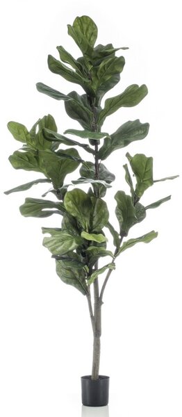 Umjetni Fikus Lyrata 180 cm - 151 - 180 cm