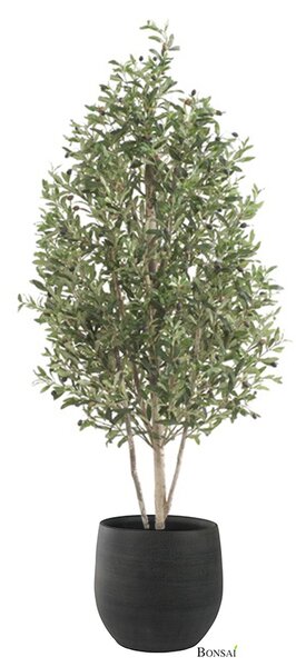 Umjetna maslina 170 cm - 151 - 180 cm - 51 do 70cm