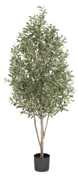 Umjetna maslina 170 cm - 151 - 180 cm - 51 do 70cm