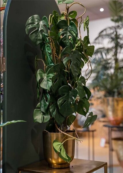 Umjetna Monstera 75 cm u tegli - 71 - 90 cm