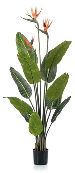 Umjetna Strelicija s cvjetovima 120 cm