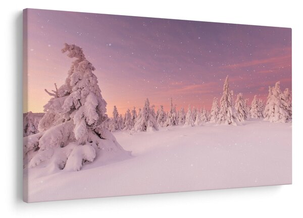 Slika - Drevesa pod snežno odejo (90x60 cm)