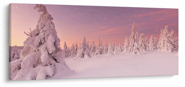 Slika - Drevesa pod snežno odejo (120x50 cm)