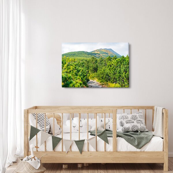 Slika - Babi Hora, Poljska (90x60 cm)