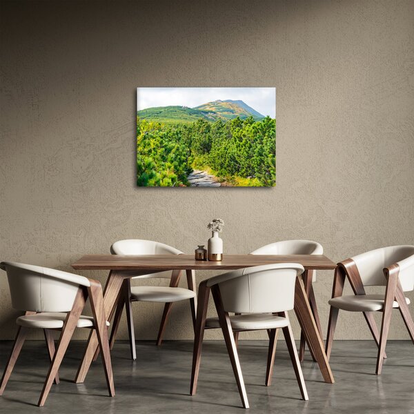 Slika - Babi Hora, Poljska (70x50 cm)