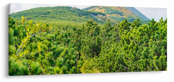 Slika - Babi Hora, Poljska (120x50 cm)